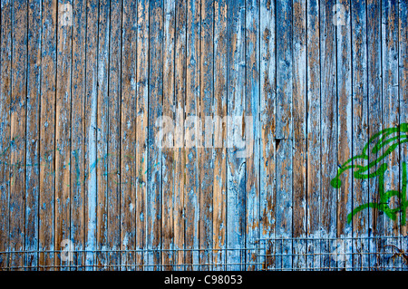 Blaue Marode Holzwand;  Blaue faulen Holzwand Stockfoto