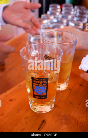 Deutschen Weißwein serviert in einem 250ml "Dubbeglas" auf dem Wurstmarkt Wein Festival, Bad Dürkheim, Rheinland-Pfalz, Deutschland Stockfoto