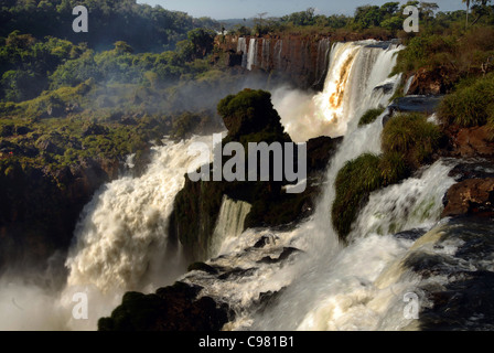 DER FLUSS IGUAZU IN VOLLER FLUT STÜRZT AUF DER ARGENTINISCHEN SEITE DER IGUAZU WASSERFÄLLE Stockfoto