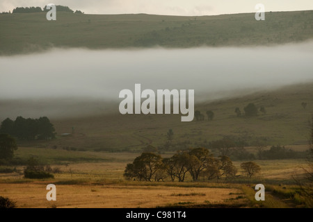 Launisch Highveld Landschaft mit tief liegenden Wolken und Ferne Bergketten Stockfoto