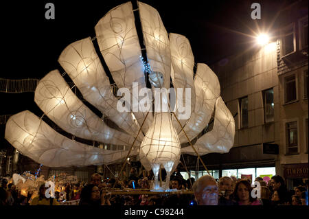 Tne Truro Stadt der Lichter Festival 2011 feiert 50 Jahre des Cornwall Wildlife Trust Stockfoto