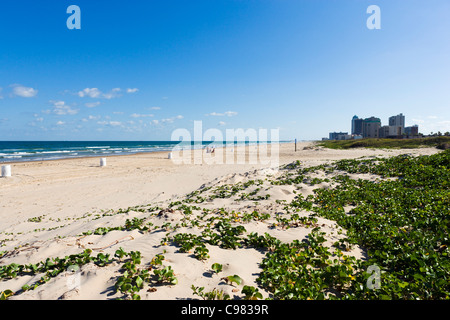 Strand am südlichen Ende von South Padre Island, in der Nähe von Brownsville, Texas, USA Stockfoto