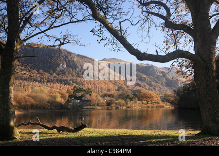 Blick von Friar's Crag über Derwent Water an im Herbst Keswick, Lake District, Cumbria, Großbritannien Stockfoto