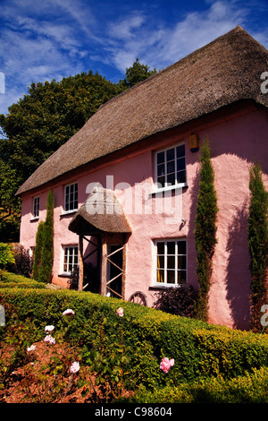 Rose Cottage ist eines der schönsten Häuser in der charmanten Dorf Cockington in Devon, England Stockfoto