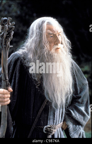 Der Herr der Ringe: Die Gefährten Jahr: 2001 USA Ian McKellen Regie: Peter Jackson Stockfoto