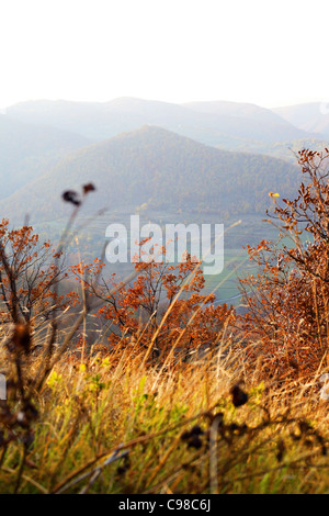 Blick auf Rasen, Bäume Tal und Hügel im Herbst. Stockfoto