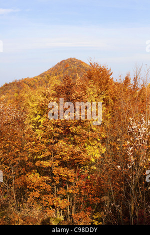 Landschaft der herbstlichen Natur. Stockfoto