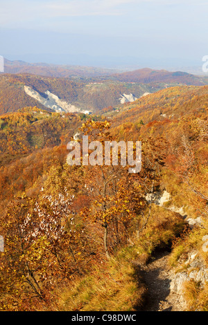 Ansicht von Rasen, Bäumen und Hügeln im Herbst. Stockfoto