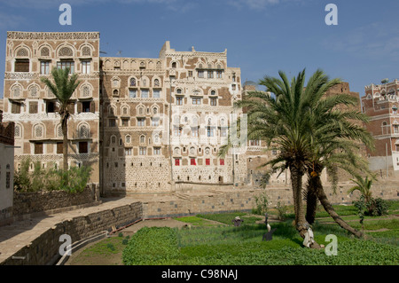 Pflanzen werden in einen gemeinsamen Garten angebaut, umgeben von alten Multiple-geschossigen Turmhäuser, alte Stadt von Sana'a, Jemen Stockfoto