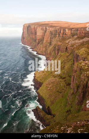 Bei 1100 Fuß sind hoch St Johns Kopf auf der Nordwestküste von Hoy, Orkney, Schottland, UK die höchsten Klippen in Großbritannien Stockfoto