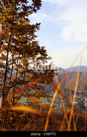 Blick auf Rasen und Bäume im Vordergrund und das Tal und die Hügel im Hintergrund im Herbst. Stockfoto
