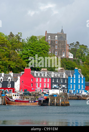 Bunte Tobermory die Hauptstadt und wichtigste Stadt auf der Isle of Mull, Argyll, Schottland. SCO 7733 Stockfoto