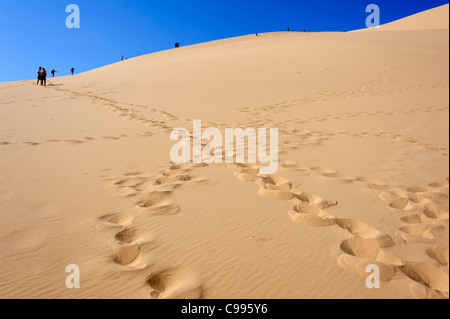 Khongoryn Sand-Bereich (Khongoryn Els) in der Wüste Gobi, Mongolei Stockfoto