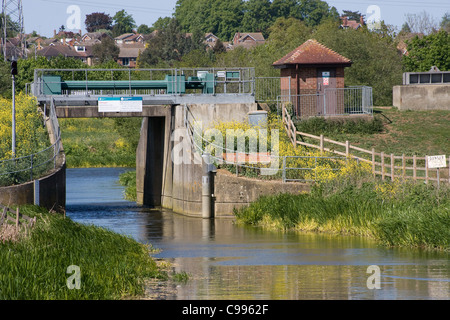 Fluss Nene Northampton Stockfoto