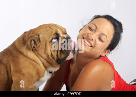 Englische Bulldogge mit junge Frau Stockfoto