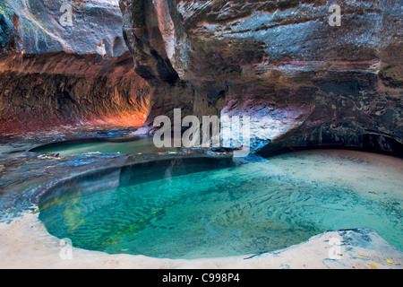 Die U-Bahn. Abzweigung links des North Creek. Zion Nationalpark, Utah. Stockfoto