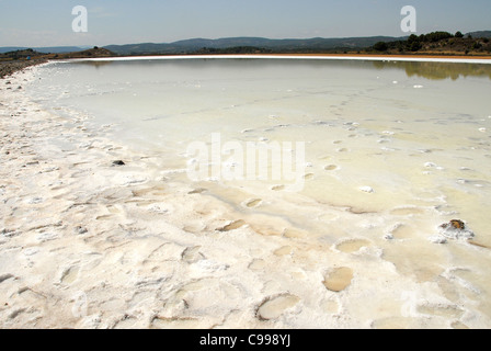 Salzsee in der Parc Naturel Régional De La Narbonnaise En Méditerranée in Aude Pays Cathare, Roussillon, Frankreich Stockfoto