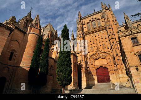 Spanien, Salamanca: Blick in die neue Kathedrale gesehen von der Terrasse-Chico Stockfoto