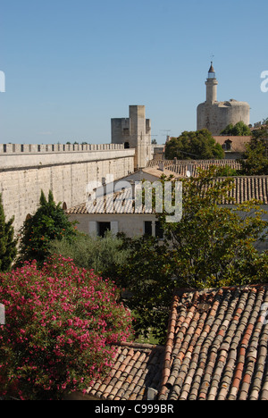 Blick über die Ville in der Nähe von Aigues-Mortes in der Camargue Frankreichs gegenüber der Tour de Constance Stockfoto