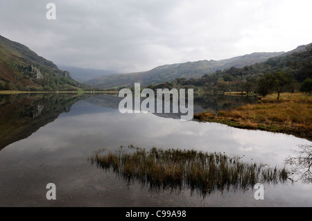 Llyn Gwynant am Fluß Glaslyn Snowdonia Nationalpark Gwynedd Nord wales uk Stockfoto