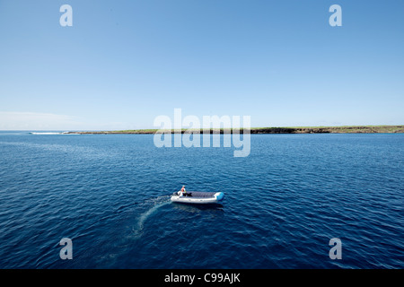 Beiboot bereit, eine Reisegruppe von Kreuzfahrtschiff nach North Seymour Island, Galapagos, Ecuador. Stockfoto