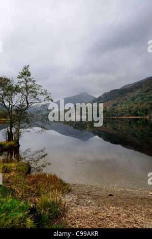 Llyn Gwynant am Fluß Glaslyn Snowdonia Nationalpark Gwynedd Nord wales uk Stockfoto