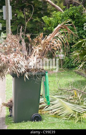 Green Garden Abfall Kompostbehälter erwartet rat Sammlung für Recycling, avalon, Sydney, Australien Stockfoto