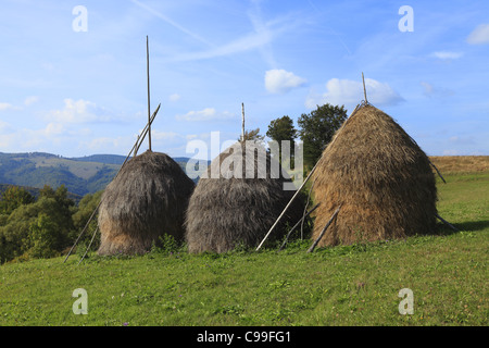 Landschaft mit drei Pferdegespanne im Apuseni-Gebirge, Siebenbürgen, Rumänien. Stockfoto