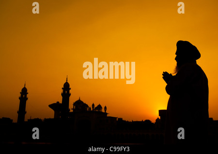 Silhouette der Sikh Gebet im Tempel, Amritsar, Indien Stockfoto