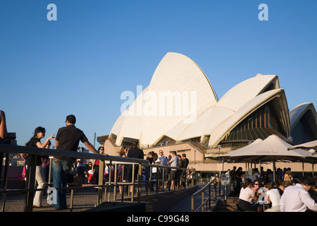 Die Opera Bar am Hafen von Sydney.  Circular Quay, Sydney, New South Wales, Australien Stockfoto