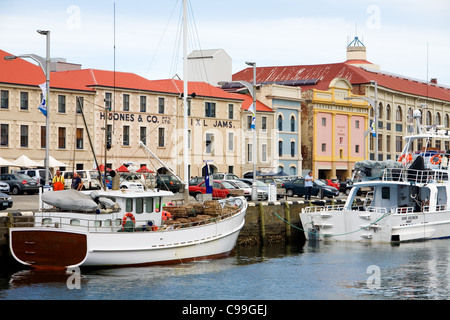 Angelboote/Fischerboote am Victoria Dock, mit historischen Hunter Street im Hintergrund. Sullivans Cove, Hobart, Tasmanien, Australien Stockfoto