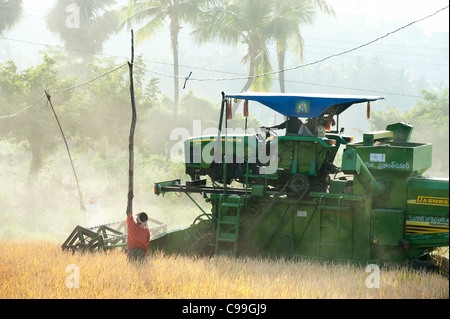 Indische Mähdrescher ernten Ernte von Reis. Andhra Pradesh, Indien Stockfoto