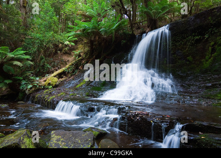 Horseshoe Falls in Mount Field National Park, Tasmanien, Australien Stockfoto