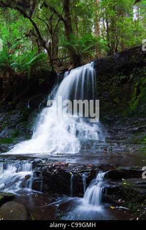 Horseshoe Falls in Mount Field National Park, Tasmanien, Australien Stockfoto