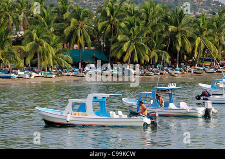 Mexiko, Guerrero, Zihuatanejo, Playa Principal, Angelboote/Fischerboote im Wasser und am Strand mit Kokospalmen gesäumt. Stockfoto