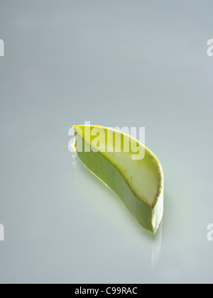 Schneiden von Aloe Vera, Nahaufnahme Stockfoto
