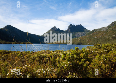 Blick über Dove Lake, Cradle Mountain.  Cradle Mountain-Lake St Clair National Park, Tasmanien, Australien Stockfoto