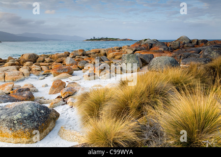 Küstenlandschaft am Redbill Strand. Bicheno, Tasmanien, Australien Stockfoto