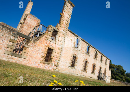 Die Ruinen der Strafanstalt in Port Arthur Historic Site.  Port Arthur, Tasmanien, Australien Stockfoto