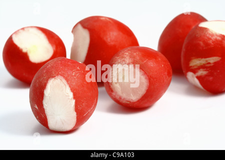 Radieschen (Raphanus Sativus) Stockfoto