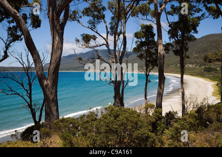 Blick über Piraten Bucht. Tasman-Halbinsel, Tasmanien, Australien Stockfoto