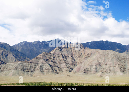 Weiße Wolken über dem Himalaya Gebirge mit ein paar von ihnen schneebedeckten, grüne Bäume im Vordergrund, Ladakh, Jammu & Kashm Stockfoto