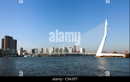 Skyline von Rotterdam mit Erasmus-Brücke Stockfoto