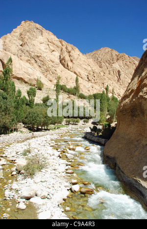 Ein kleiner Fluss unterwegs zum Tso Moriri See. Himalaya-Gebirge und blau gefärbte Himmel und ein paar Bäume im Hintergrund, Travel Stockfoto