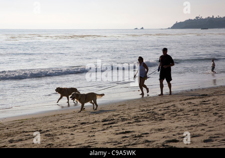 Paar, die ihre Hunde auf Laguna Beach - CA Stockfoto
