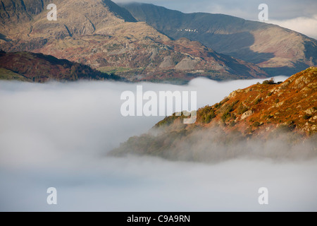 Eine Temperaturinversion mit Tal Nebel über Ambleside in der Seenplatte, Cumbria, UK, mit einer Herde von Singschwänen Stockfoto