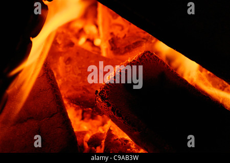 Orangefarbene Glut in einem kleinen Holz-Feuer. Stockfoto