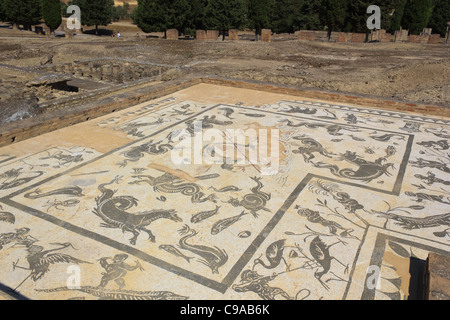 Mosaik in Italica (Andalusien - Spanien) Stockfoto