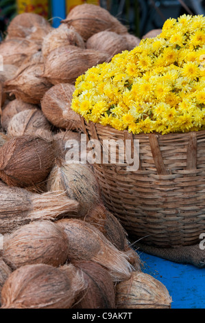 Korb der indischen Blumen und Kokosnüsse für Verkauf bei einer indischen Markt. Andhra Pradesh, Indien Stockfoto