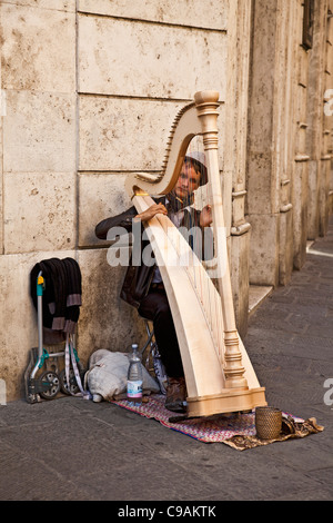 Junger Mann Harfenistin spielt die Harfe in einer Straße in der mittelalterlichen Stadt Siena, Toskana, Italien. Straße Entertainer/busker Stockfoto